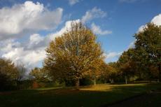 Herbststimmung-25-10-09 009.jpg